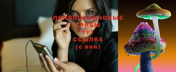 винт Пестово