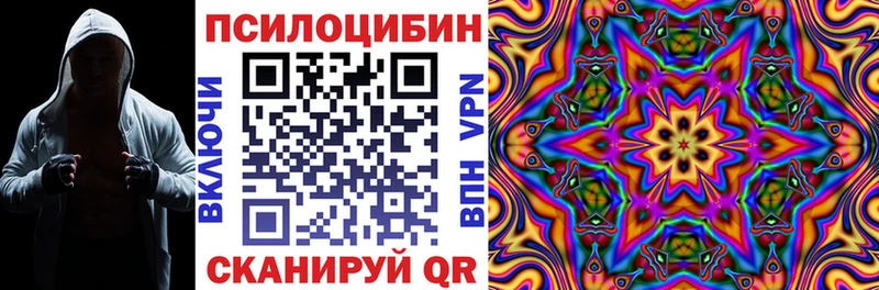 Купить  Ясногорск  Галлюциногенные грибы MAGIC MUSHROOMS 